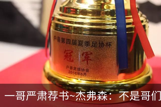 一哥严肃荐书~杰弗森：不是哥们你真看啊？我还以为书只是装饰品